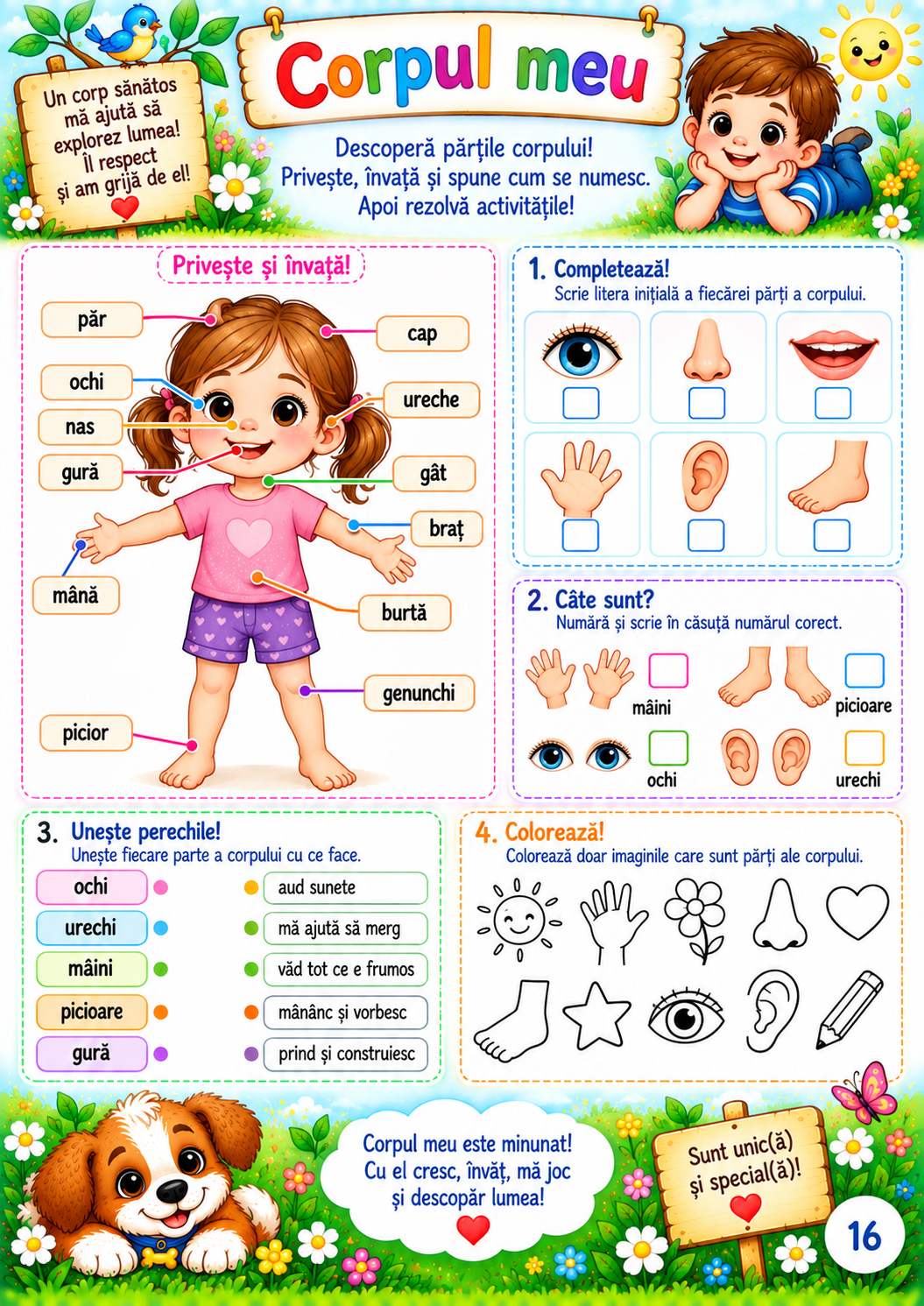 Tobi învață prin joacă – Activități practice și educative pentru copii de 3–5 ani - imagine 4